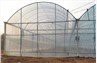 PVC plastic green house